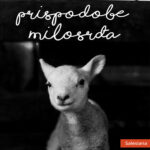 Prispodobe milosrđa